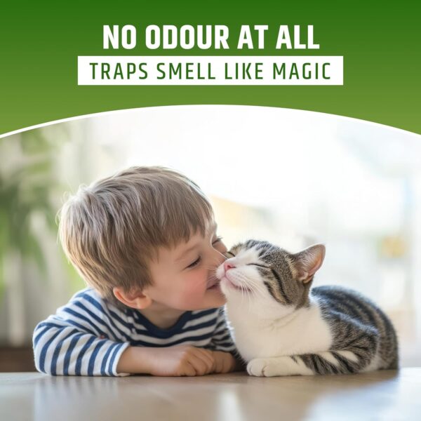 CAT Litter Sand for CAT 20KG, 99.99% Dust Free, Fast Clamping Natural Cat Litter 20kg (CAT Litter 20KG - Non Scented) DogsNCats - Authorised Partner