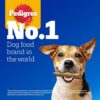 1765013817_81VNZ5-dlL._SL1500_.jpg Pedigree Dentastix Oral Care Dog Treat, Adult Medium Breed (10-25 kg), 2.88 kg (Pack of 16), Recommended by Vets, Supports Gum Health, Reduces Risk of Gum diseases