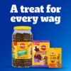 1765013822_61wYONs6zL._SL1200_.jpg Pedigree Dentastix Oral Care Dog Treat, Adult Medium Breed (10-25 kg), 2.88 kg (Pack of 16), Recommended by Vets, Supports Gum Health, Reduces Risk of Gum diseases