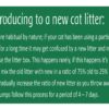 JiMMy Pet Products Clumping Bentonite Cat Litter Sand Jasmine Scented Litter Sand for Cat Standard (12 Kg)