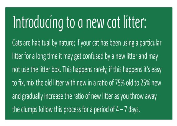 JiMMy Pet Products Clumping Bentonite Cat Litter Sand Jasmine Scented Litter Sand for Cat Standard (12 Kg)