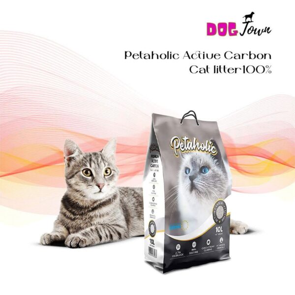 DOGTOWN Petaholic Active Carbon cat litter100% Natural | Dust Free | Super Absorbent | Chemical Free | ((10L) (Pack of 2)