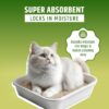 Advance Formula Pure White Super Fast Clamping Natural Cat Litter, 5Kg (White Bag) (DogsNCats - Authorised Partner)