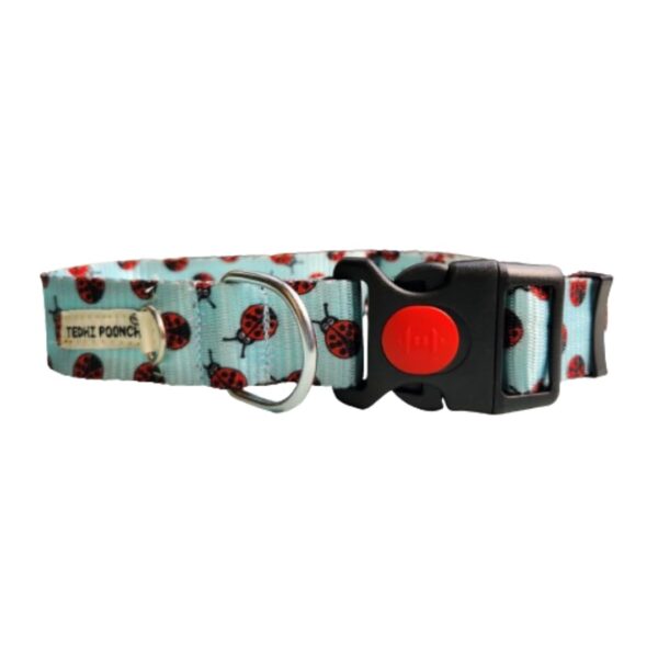 Premium Adjustable Printed Collar and Leash Set for Dogs & Puppies (Beetles Galore, Small)