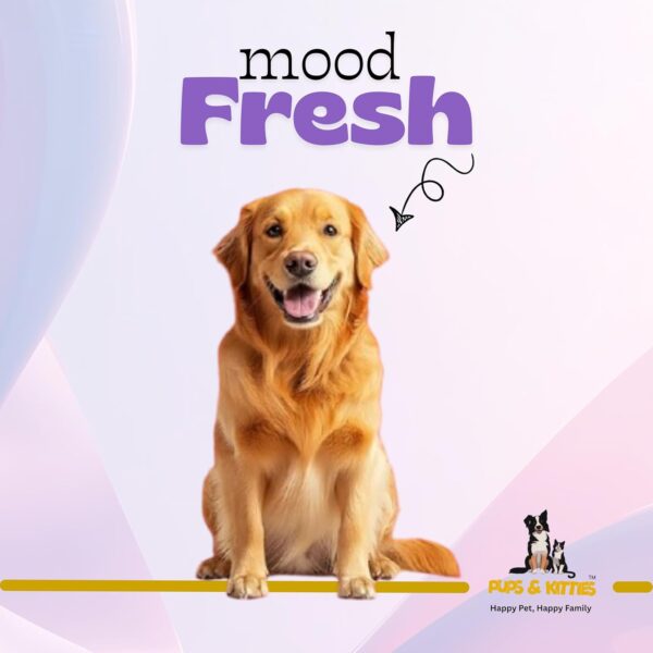 Chew Bite Stix by Pups & Kitties Premium munchy Sticks for Dog, Chicken Flavour, 400g