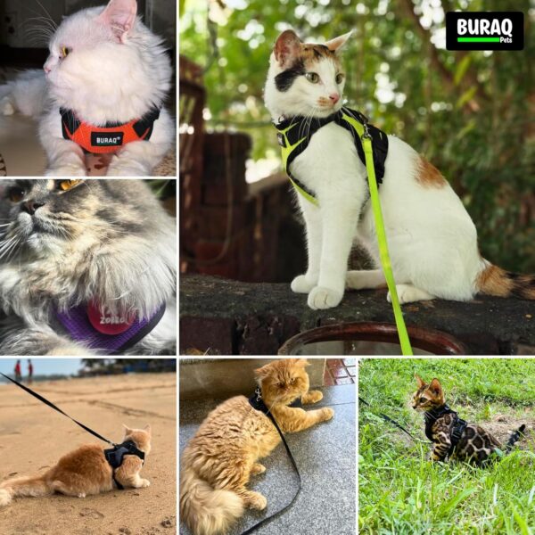 Buraq No Pull Cat Harness with Leash + 2 Pcs Cat Collar, Escape Proof, Ultra-Light Weight, Air Mesh Fabric, Aesthetic Design Adjustable Cat Leash with Harness (XXS - Pink)