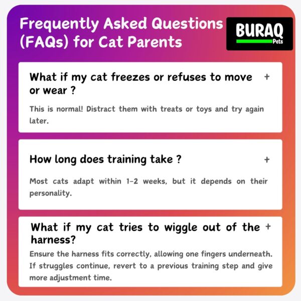 Buraq No Pull Cat Harness with Leash + 2 Pcs Cat Collar, Escape Proof, Ultra-Light Weight, Air Mesh Fabric, Aesthetic Design Adjustable Cat Leash with Harness (XXS - Pink)