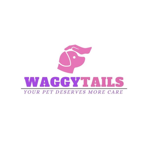 WonderWhite Premium White Cat Litter Made in Turkey | 5 Kg in a Pack | White Bentonite Clumping Sand | (Lavender Scent) Safe for Multiple Cats & Kittens with Wand Toy