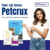 Petcrux Scooper Litter Tray for Cat (Scooper - 2 Units)