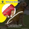 A+a Pets' Luxurious Rain & Wind' Raincoat for Dogs with 24" Length | Recommended Non Slip Jacket Style for Rain & Snow | Full Body Coverage with Leash Opening | Warm & Comfortable (Red 3XL)