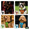 1765506456_81mOIJSV8L._SL1500_.jpg BURAQ No Pull Dog Harness For Large, Medium & Small Dogs | Reflective Oxford Vest | Soft Padded Chest Belt | Easy Control | Anti-Choke Dog Belt For Walking & Training,Black