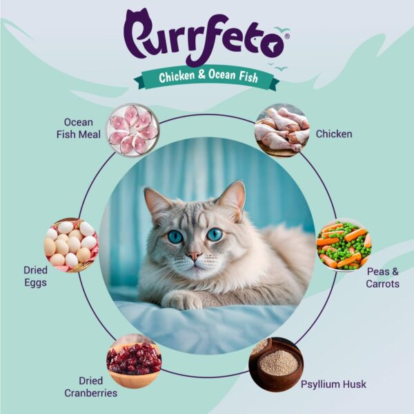 1765512394_61O8t-QN3L._SL1201_.jpg Adult Dry Cat Food | Chicken & Ocean Fish | 7 kg | 40% Reduction in Urinary Track Diseases |Anti Hairball Formula |Healthy Skin & Coat |Improves Digestive Health