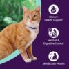 1765512395_61LF3PQZKOL._SL1200_.jpg Adult Dry Cat Food | Chicken & Ocean Fish | 7 kg | 40% Reduction in Urinary Track Diseases |Anti Hairball Formula |Healthy Skin & Coat |Improves Digestive Health