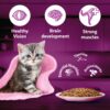 1765514805_81s8qLLkfgL._SL1500_.jpg Whiskas Junior Kitten (2-12 Months) Wet Cat Food, Tuna in Jelly, 80 g (Pack of 56), Hydrating Food Made With Real Fish, 100% Complete & Balanced Nutrition for Kittens