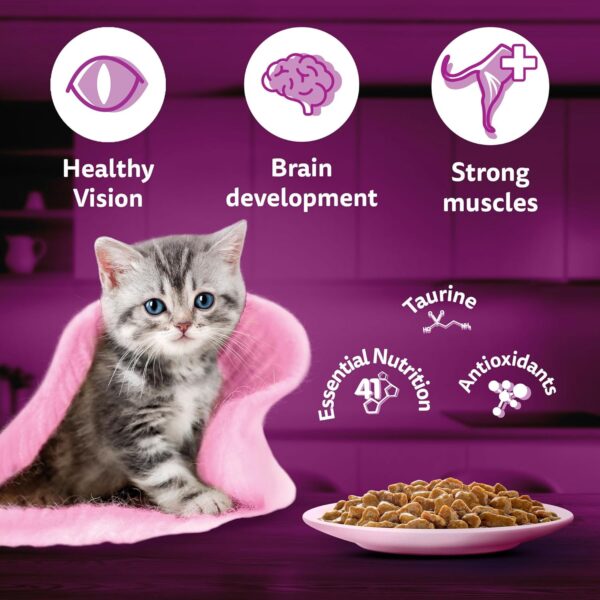 1765514805_81s8qLLkfgL._SL1500_.jpg Whiskas Junior Kitten (2-12 Months) Wet Cat Food, Tuna in Jelly, 80 g (Pack of 56), Hydrating Food Made With Real Fish, 100% Complete & Balanced Nutrition for Kittens