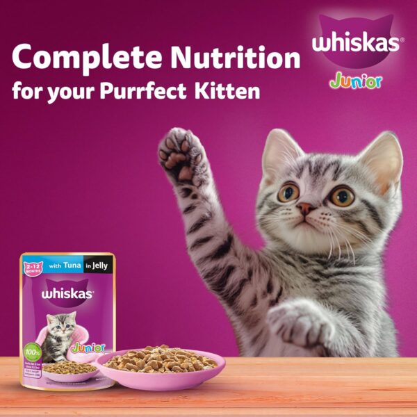 1765514814_814hpL8Dt0L._SL1500_.jpg Whiskas Junior Kitten (2-12 Months) Wet Cat Food, Tuna in Jelly, 80 g (Pack of 56), Hydrating Food Made With Real Fish, 100% Complete & Balanced Nutrition for Kittens