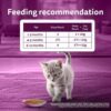 1765514821_71RfhlJJFL._SL1500_.jpg Whiskas Junior Kitten (2-12 Months) Wet Cat Food, Tuna in Jelly, 80 g (Pack of 56), Hydrating Food Made With Real Fish, 100% Complete & Balanced Nutrition for Kittens