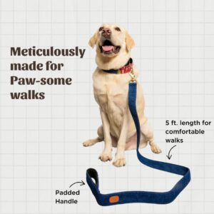 PetWale Dog Leash with Padded Handle for Walking Running Training, Comfortable Heavy Duty Blue Denim (Blue, L: 5 feet, W: 0.78")