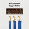 PetWale Dog Leash with Padded Handle for Walking Running Training, Comfortable Heavy Duty Blue Denim (Blue, L: 5 feet, W: 0.78")