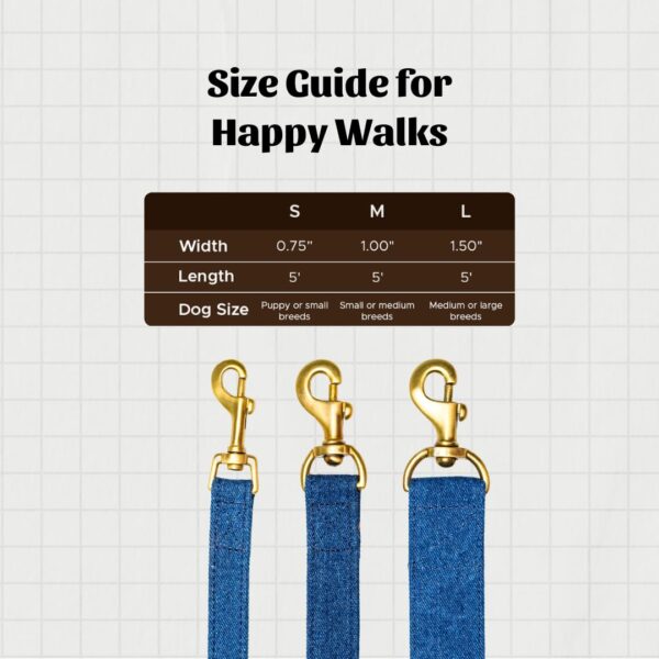 PetWale Dog Leash with Padded Handle for Walking Running Training, Comfortable Heavy Duty Blue Denim (Blue, L: 5 feet, W: 0.78")