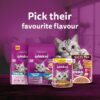 1765524244_81lMxyQwlSL._SL1500_.jpg Whiskas Adult (1+ Years) Dry Cat Food, Mackerel Flavour, 7 kg, Contains 41 Essential Nutrients, Complete & Balanced Nutrition for Adult Cats