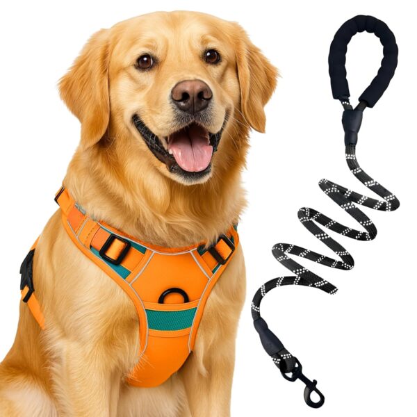 Buraq Reflective Dog Harness with Leash, No-Pull Adjustable Belt Vest Buraq Reflective Dog Harness with Leash, No-Pull Adjustable Belt Vest for Small, Medium & Large Dogs, Escape-Proof, Padded Training & Walking Harness (M - Orange)
