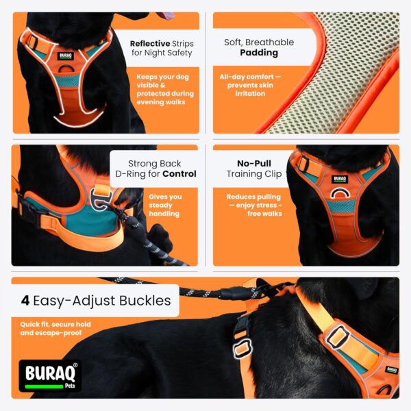 1765525417_81kCiuUBXcL._SL1500_.jpg Buraq Reflective Dog Harness with Leash, No-Pull Adjustable Belt Vest for Small, Medium & Large Dogs, Escape-Proof, Padded Training & Walking Harness (M - Orange)