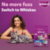 1765526597_81zSYIIuTyL._SL1500_.jpg Whiskas Adult (1+ Years) Dry Cat Food, Ocean Fish Flavour, 480 g, Contains 41 Essential Nutrients, Complete & Balanced Nutrition for Adult Cats