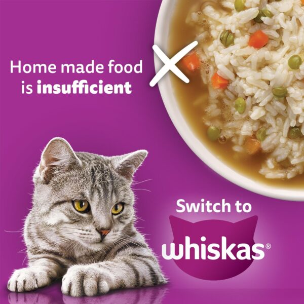 1765528905_71hP9rPAfqL._SL1500_.jpg Whiskas Adult (1+ Years) Wet Cat Food, Chicken in Gravy, 80 g, Hydrating Food Made With Real Chicken, 100% Complete & Balanced Nutrition for Adult Cats