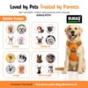 1765532503_81AXHnqTvEL._SL1500_.jpg Buraq Reflective Dog Harness with Leash, No-Pull Adjustable Belt Vest for Small, Medium & Large Dogs, Escape-Proof, Padded Training & Walking Harness (S - Orange)