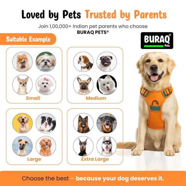 1765532503_81AXHnqTvEL._SL1500_.jpg Buraq Reflective Dog Harness with Leash, No-Pull Adjustable Belt Vest for Small, Medium & Large Dogs, Escape-Proof, Padded Training & Walking Harness (S - Orange)