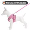 1765548905_71JAWalEqZL._SL1500_.jpg WOOFLIX Dog Harness for Small Dogs, Puppies and Cats | Suitable for Small Size Dogs, Cats & Puppies of 7kg-10kg | Reflective Soft Padded Dog Harness with Secure Fit | Pink (7kg-10kg Dog & Cat)