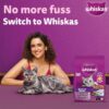 1765550092_81Q4eCG26xL._SL1500_.jpg Whiskas Adult (1+ Years) Dry Cat Food, Mackerel Flavour, 480 g, Contains 41 Essential Nutrients, Complete & Balanced Nutrition for Adult Cats