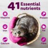 1765550098_71iUGkmet8L._SL1500_.jpg Whiskas Adult (1+ Years) Dry Cat Food, Mackerel Flavour, 480 g, Contains 41 Essential Nutrients, Complete & Balanced Nutrition for Adult Cats