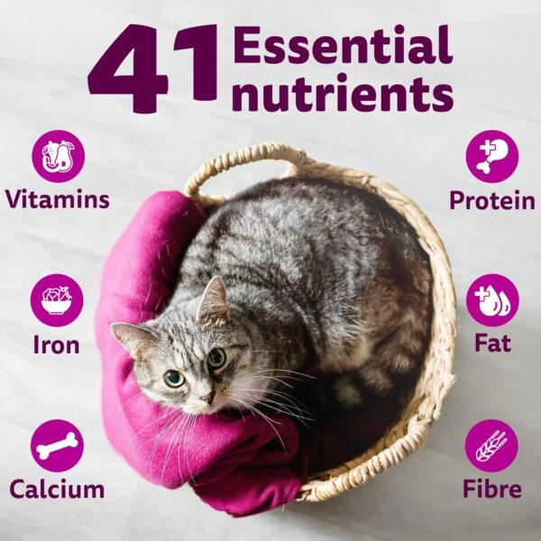 1765550098_71iUGkmet8L._SL1500_.jpg Whiskas Adult (1+ Years) Dry Cat Food, Mackerel Flavour, 480 g, Contains 41 Essential Nutrients, Complete & Balanced Nutrition for Adult Cats