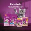1765554815_61ircmy45kL._SL1100_.jpg Whiskas Tasty Mix Kitten (2-12 Months) Wet Cat Food, Seafood Cocktail Carrot Flavour in Gravy, 70 g x 14, 100% Complete & Balanced Nutrition for Kittens