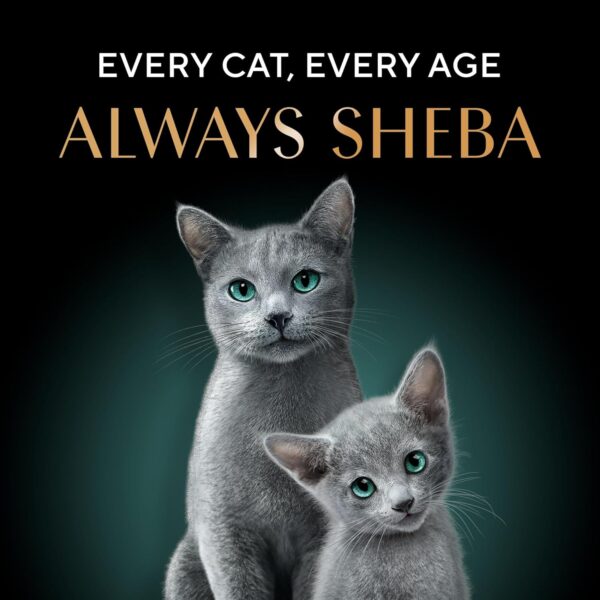 1765561907_81nLUA1RWgL._SL1500_.jpg Sheba Rich Premium Adult (1+ Years) Wet Cat Food, Skipjack & Salmon Flavour, 35 g Pouch (Pack of 12), High-moisture wet food for healthy hydration