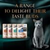 1765561913_8122SLIzBmL._SL1500_.jpg Sheba Rich Premium Adult (1+ Years) Wet Cat Food, Skipjack & Salmon Flavour, 35 g Pouch (Pack of 12), High-moisture wet food for healthy hydration