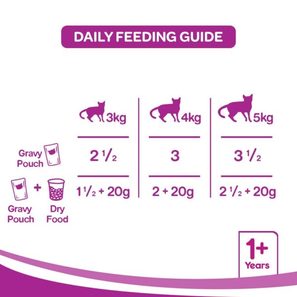 1765568961_615R2FamwlL._SL1000_.jpg Whiskas Adult (1+ Years) Wet Cat Food, Chicken in Gravy Flavour, 6 x 85 g Pouches