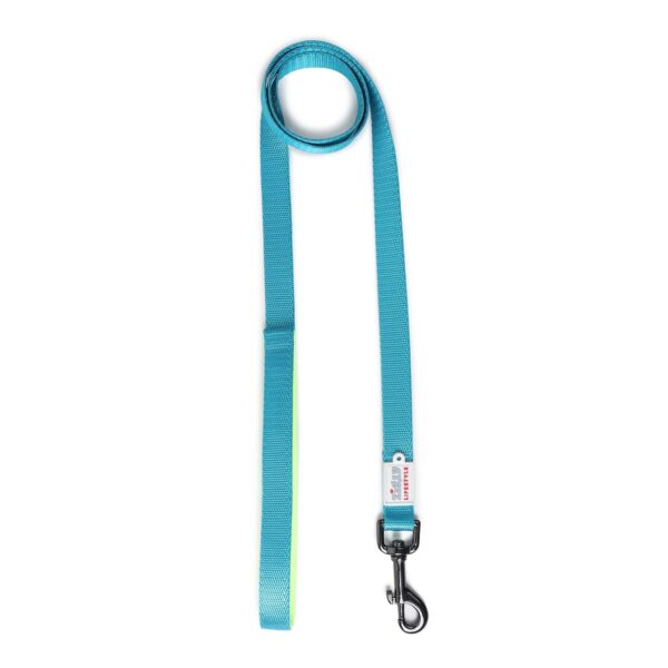 1765577268_71o2-Ku-jzL._SL1500_.jpg Zigly Lifestyle Classic Dog Leash-Medium- Neon Green | Long Padded Leash for Medium Dogs | Comfortable Strong Leash for Pets