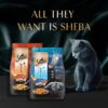 Sheba Kitten and Adult, Irresistible Dry Cat Food, Chicken Flavour, 1.5 kg, Contains 41 Essential Nutrients, Complete & Balanced Nutrition