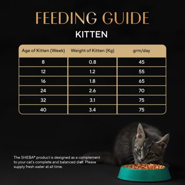 Sheba Kitten and Adult, Irresistible Dry Cat Food, Chicken Flavour, 1.5 kg, Contains 41 Essential Nutrients, Complete & Balanced Nutrition