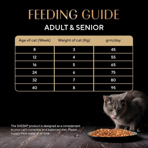 Sheba Kitten and Adult, Irresistible Dry Cat Food, Chicken Flavour, 1.5 kg, Contains 41 Essential Nutrients, Complete & Balanced Nutrition