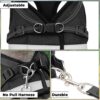 Heart Home Reflective Dog Harness With Adjustable Leash|Breathable Polyester Mesh Fabric |Medium Size|HT-844|Comfortable No-Pull Grip|Quick Release Buckles|Easy On - Easy Off Harness|Black