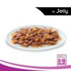 Whiskas Adult (1+ Years), Wet Cat Food, Salmon in Gravy Flavour, 48 Pouches (48 x 85g)