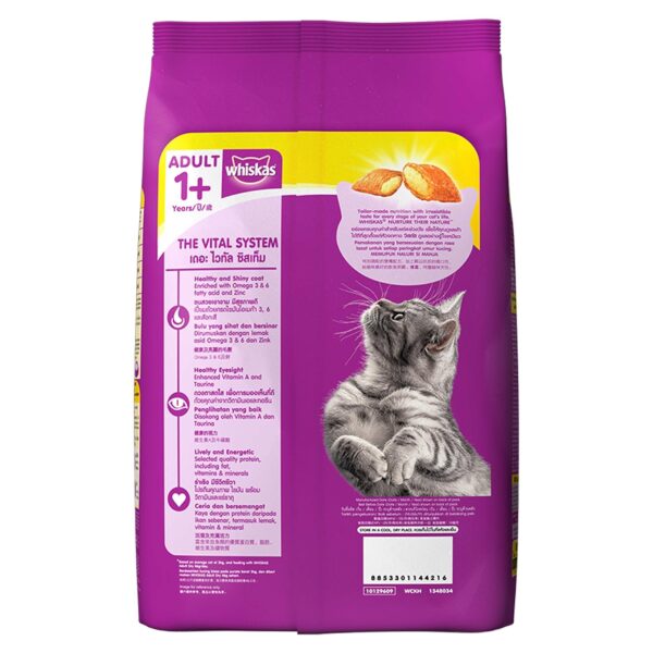 1765632773_91Gdk4WoQvL._SL1500_.jpg Whiskas Adult (+1 Year) Dry Cat Food, Chicken Flavour, 1.2kg Pack and Kitten (2-12 Months) Dry Cat Food, Ocean Fish Flavour with Milk, 3 kg Pack