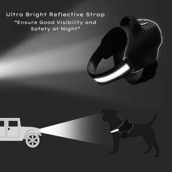 1765640972_61L4mIbXvzL._SL1500_.jpg Customized Dog Harness Leash with Name | Personalized Harness for Large Dogs | Adjustable, Reflective, Choke Free, Reflective (L, Black) (for 24-35 Kg Pet)