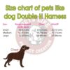 1765664534_61rtRHvcHjL._SL1000_.jpg Petslike Double H Harness Olive Green(Size Large), Olive Green, Large, 250 g