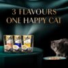 1765668106_71smxGqKIhL._SL1500_.jpg Sheba Fine Premium Adult (1+ Years) Wet Cat Food, Tuna Pumpkin & Carrot in Gravy, 70 g Pouch (Pack of 28), High-Moisture Gravy cat Food for Healthy Hydration