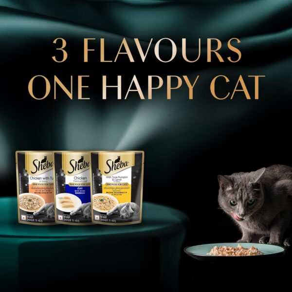 1765731842_71smxGqKIhL._SL1500_.jpg Sheba Fine Premium Adult (1+ Years) Wet Cat Food, Chicken Premium Loaf, 70 g Pouch (Pack of 28), High-moisture gravy cat food for healthy hydration